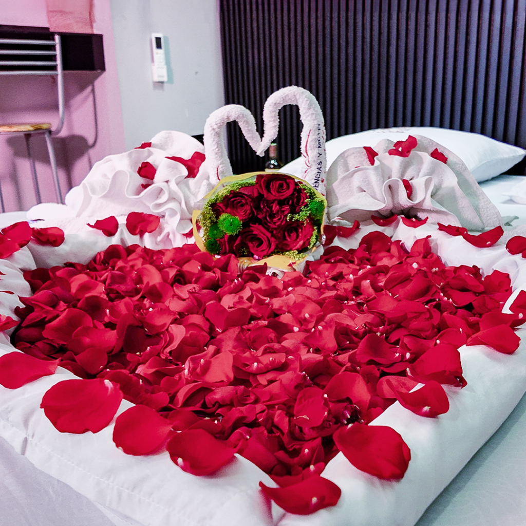 PLANES-DECORATIVOSMesa-de-trabajo-1-copia-5